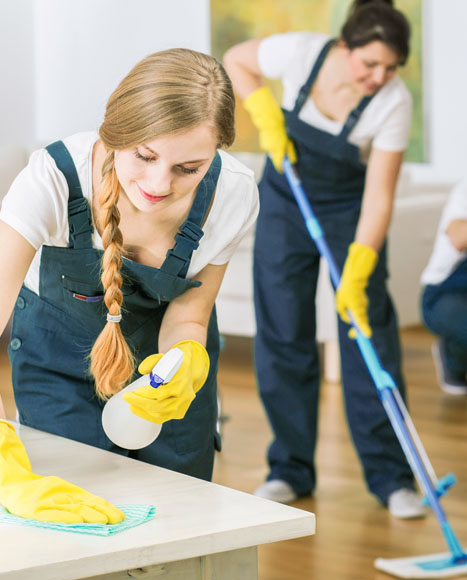 Group of People Cleaning 